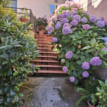 Bed & Breakfast Le Ortensie