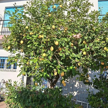 Le Ortensie 3* Bono (Sassari)