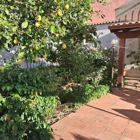Le Ortensie Bed & Breakfast Bono (Sassari)