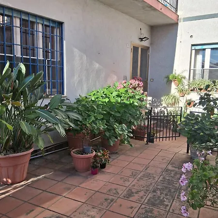 Le Ortensie 3*