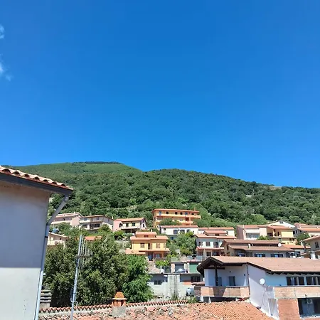 Le Ortensie Bono (Sassari)
