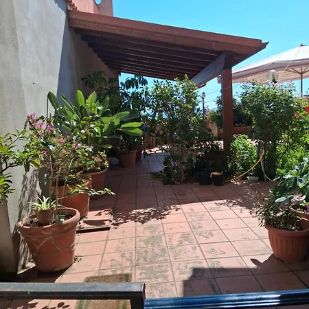 Le Ortensie 3*