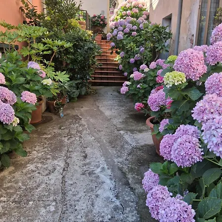 Le Ortensie فندق مبيت وإفطار 3*