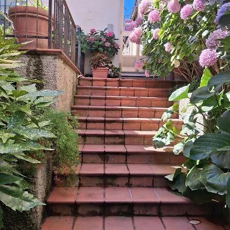 Le Ortensie